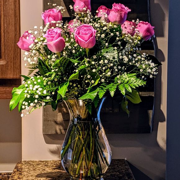 Meet your Posher, Fifi - Picture 1 of 1